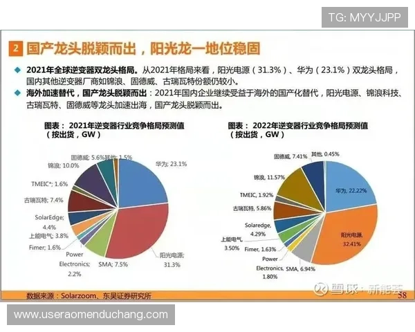 汇彩控股有限公司：在全球市场中的竞争优势与发展机遇
