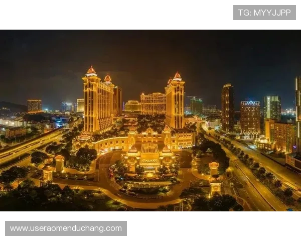 澳门银河国际入口官方入口地址,确保玩家快速进入游戏体验优质娱乐