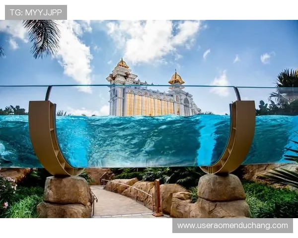 澳门银河官网娱乐热门游戏推荐适合不同玩家的多样娱乐选择