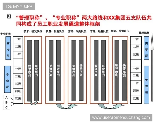 MGM澳门不同岗位的职业发展前景与晋升路径分析