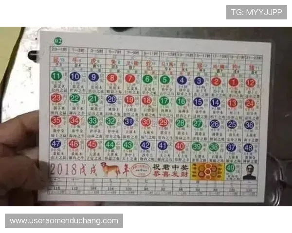 利用六合彩官方入口实现多元化投注策略，提升中奖几率的实用技巧