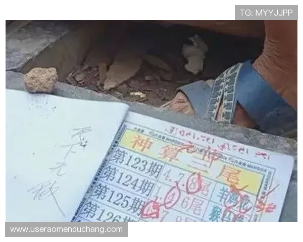 掌握六合彩手机官方地址最新动态,确保每次投注都能顺利进行安全无忧