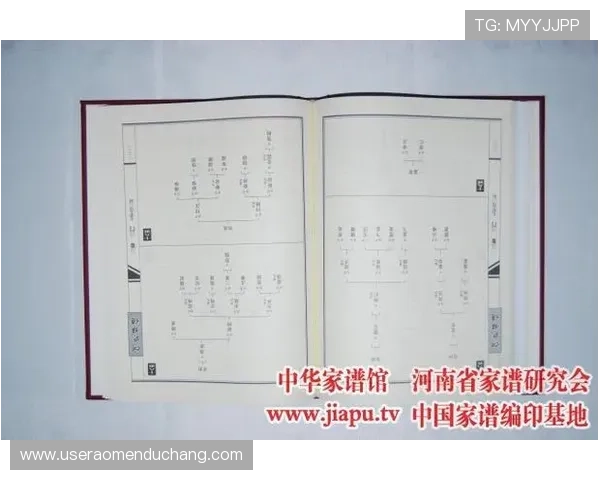 澳门何家族谱揭秘：家族起源、发展历程与传承故事