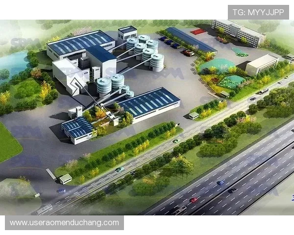 打造绿色高效的皇家备用平台推动皇家产业持续健康发展