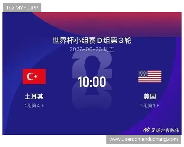 土耳其对美国球队身价差异分析，助力理解两队在世界杯中的战略布局